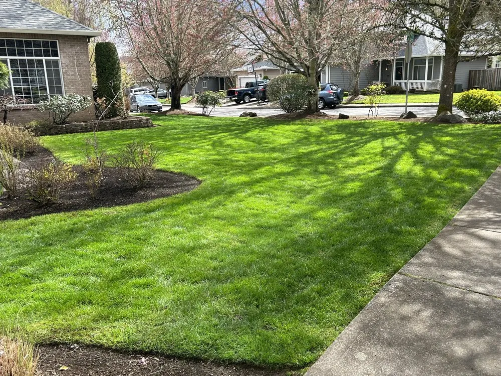 Professional yard cleanup service in Beaverton, OR by Martinez Yard Care