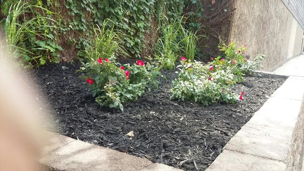 Affordable landscape design with custom design in Ralston, NE by Martinez Yard Services
