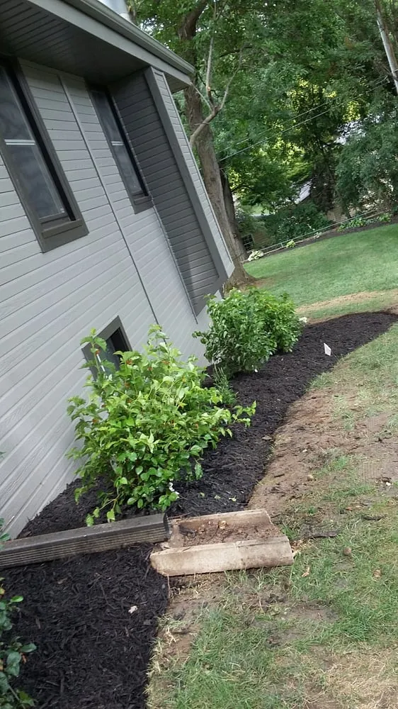 Local lawn care service in Ralston, NE by Martinez Yard Services