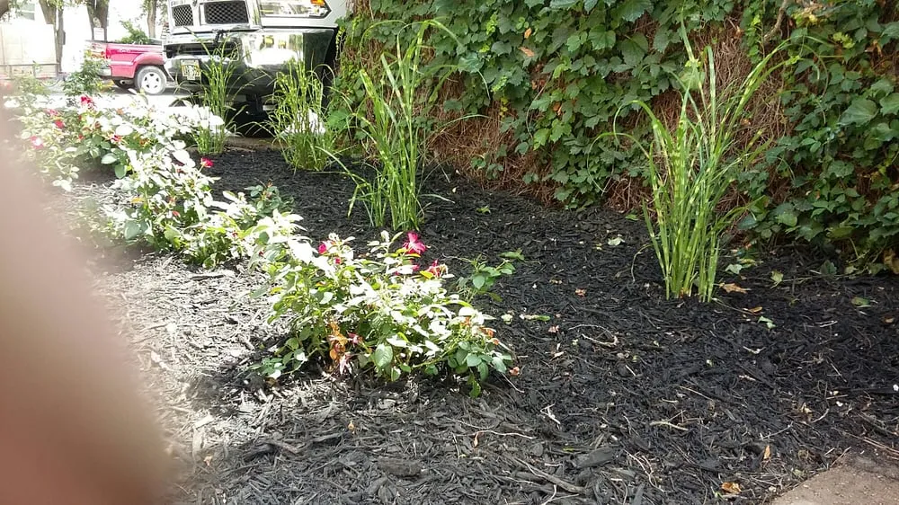 Custom residential landscaping experts serving Ralston, NE - Martinez Yard Services