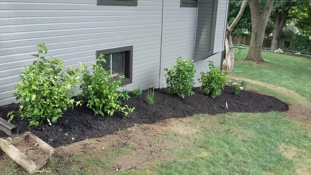Expert landscaping services for outdoor upgrades in Ralston, NE by Martinez Yard Services