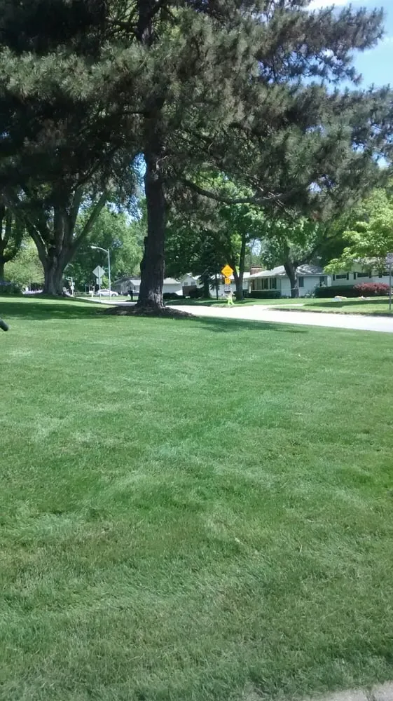 Expert lawn care service experts serving Ralston, NE - Martinez Yard Services