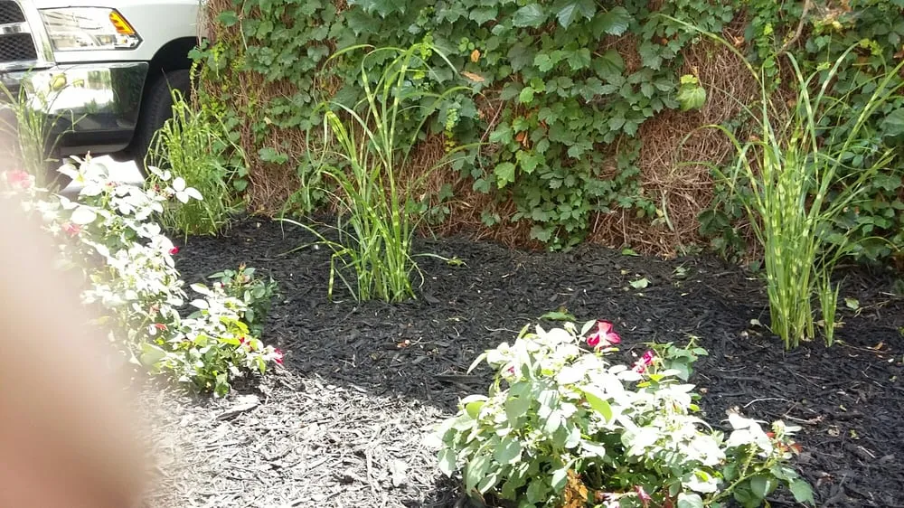 Local residential landscaping for year-round maintenance across Ralston, NE - Martinez Yard Services