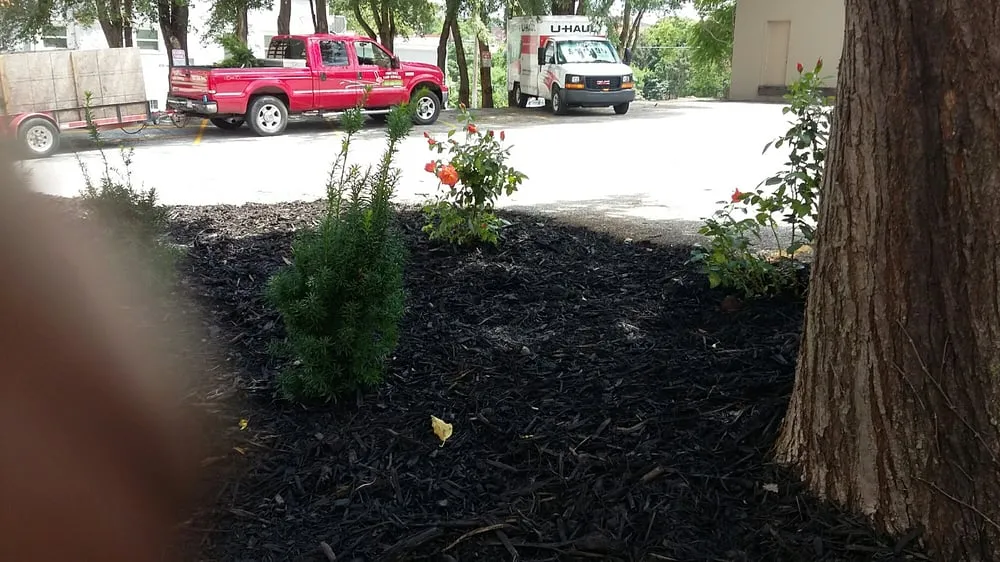 Reliable yard maintenance in Ralston, NE - Martinez Yard Services