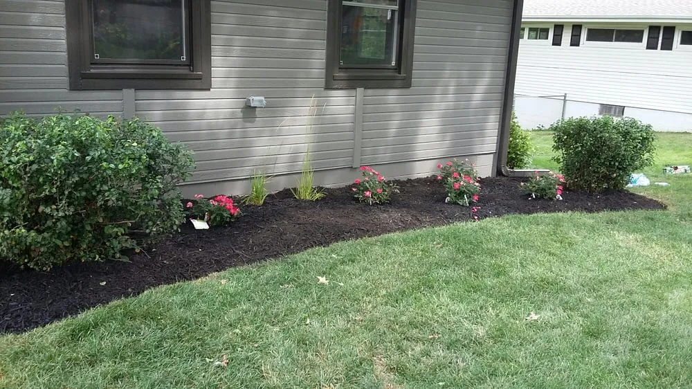 Professional yard maintenance in Ralston, NE - Martinez Yard Services