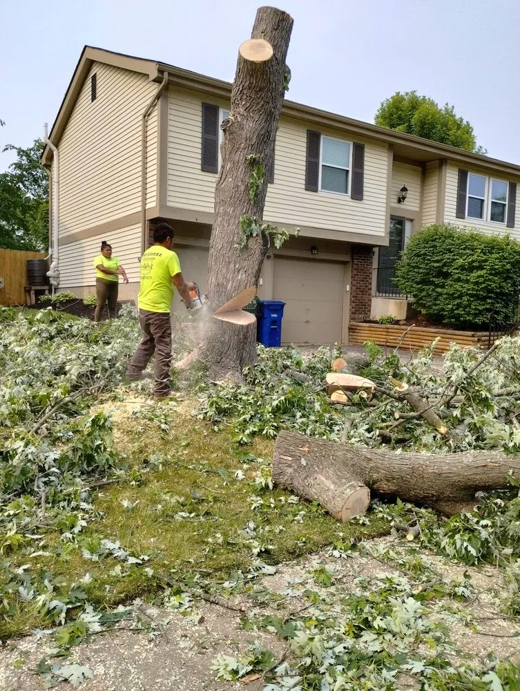 Reliable residential landscaping for year-round maintenance across Columbus, OH - Martinezz Landscaping