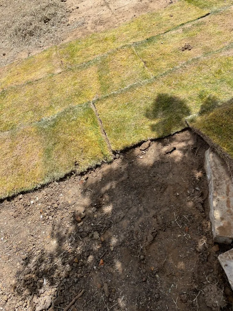 Reliable lawn care service in Benbrook, TX - Martinie Brothers Lawn Care