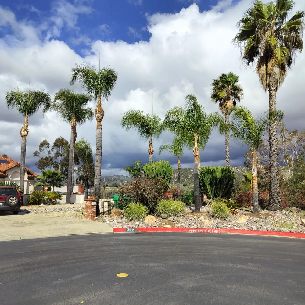 Affordable landscaping services in El Cajon, CA - Martinis Greenscape