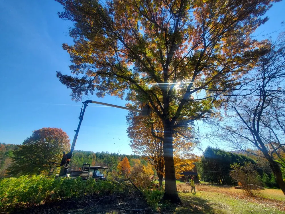 Custom garden landscaping in Montague, MA by Martino Tree Service