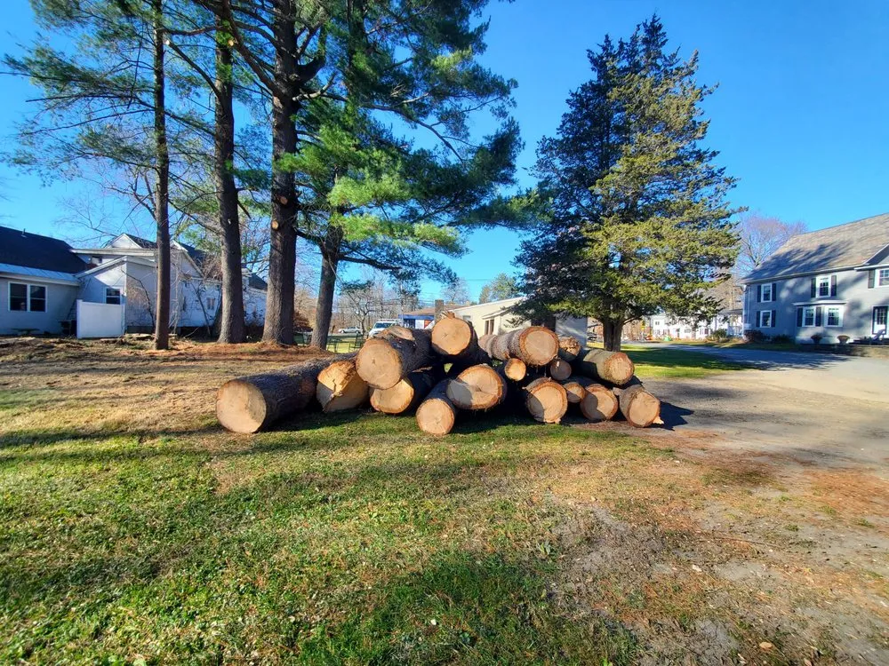 Affordable lawn care service in Montague, MA by Martino Tree Service