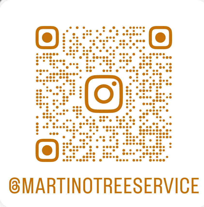 Expert outdoor landscaping in Montague, MA by Martino Tree Service