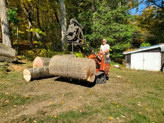 Martino Tree Service