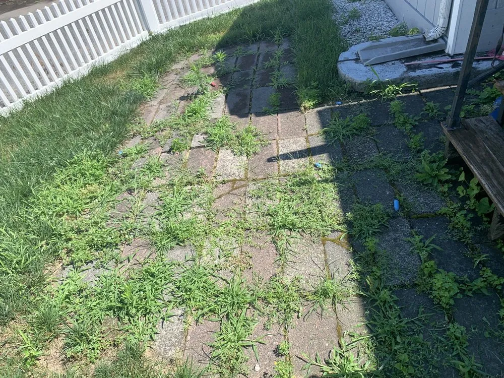 Reliable yard cleanup service in Haverhill, MA by Martino’s Landscaping