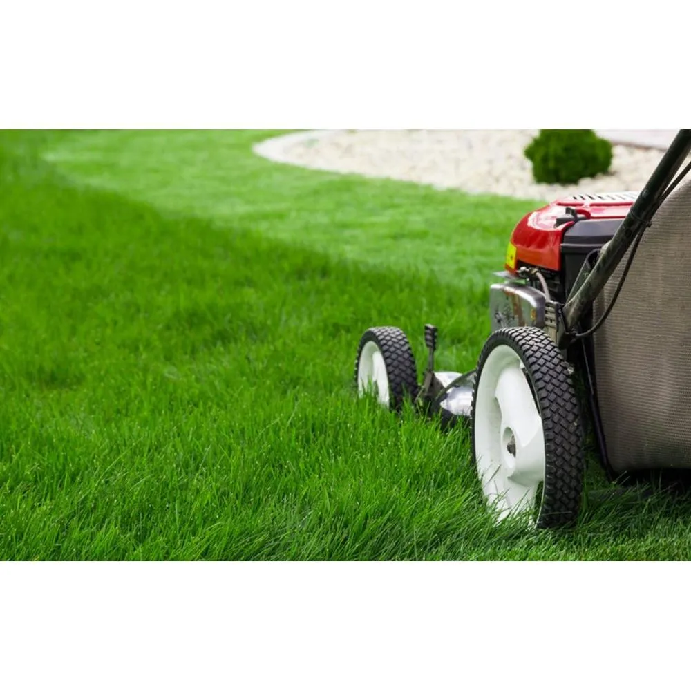 Professional lawn care service for residential properties across Deville, LA - Martin's Clean Up Crew