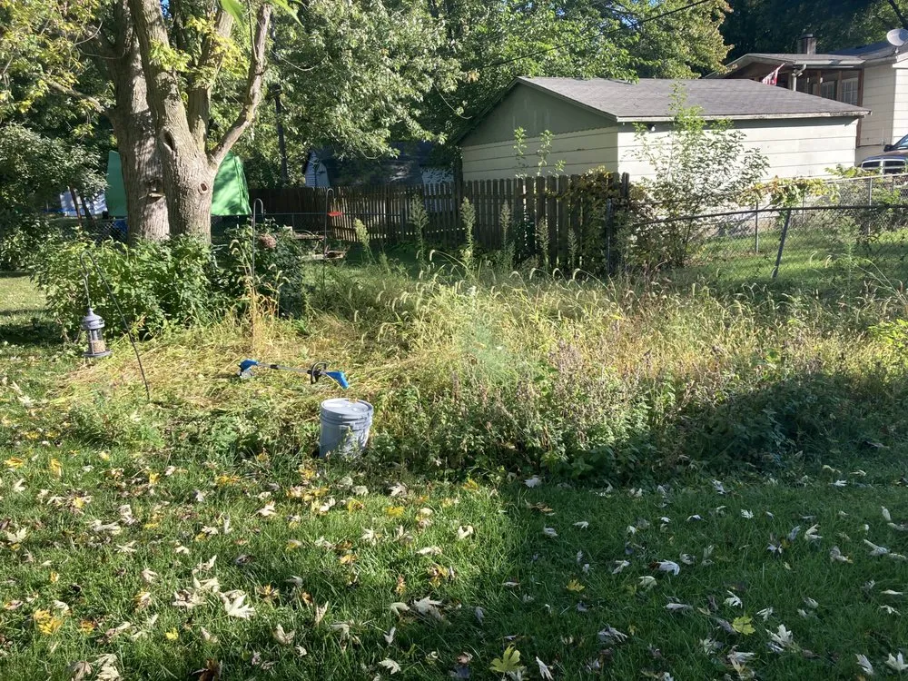 Affordable yard maintenance in Kokomo, IN by Martin’s Handyman Services