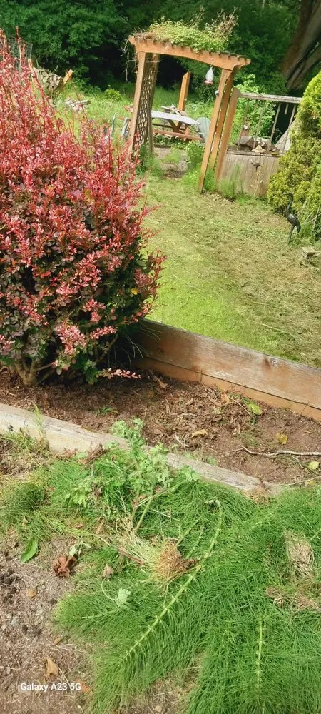 Custom landscape design in Forks, WA - Martin’s House Painting Landscaping