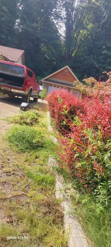 Affordable outdoor landscaping for year-round maintenance across Forks, WA - Martin’s House Painting Landscaping
