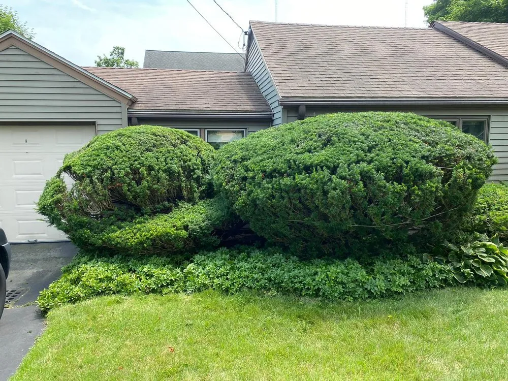 Top-rated residential landscaping experts serving Framingham, MA - Martins K Landscape