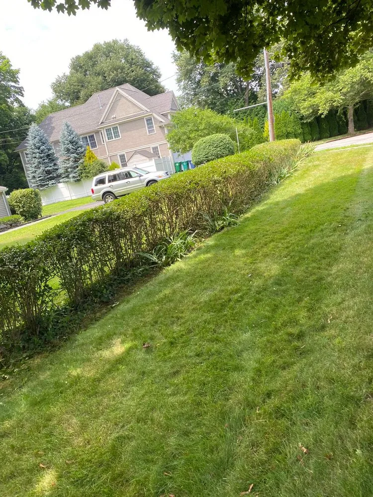 Custom landscape installation with custom design across Framingham, MA - Martins K Landscape