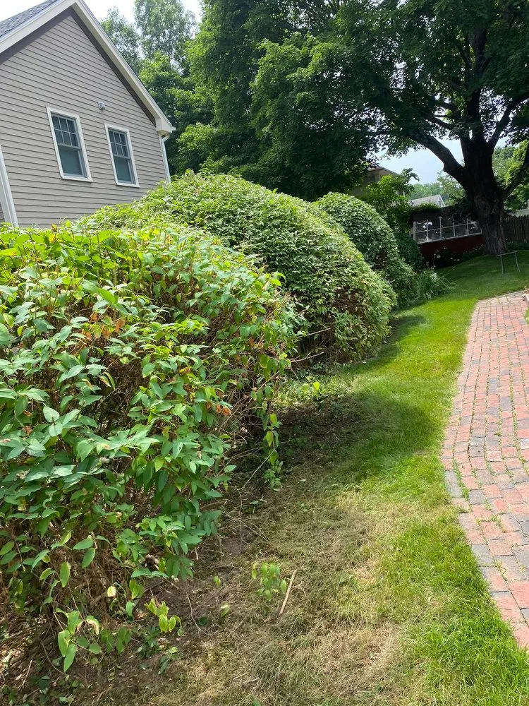 Local yard maintenance in Framingham, MA - Martins K Landscape