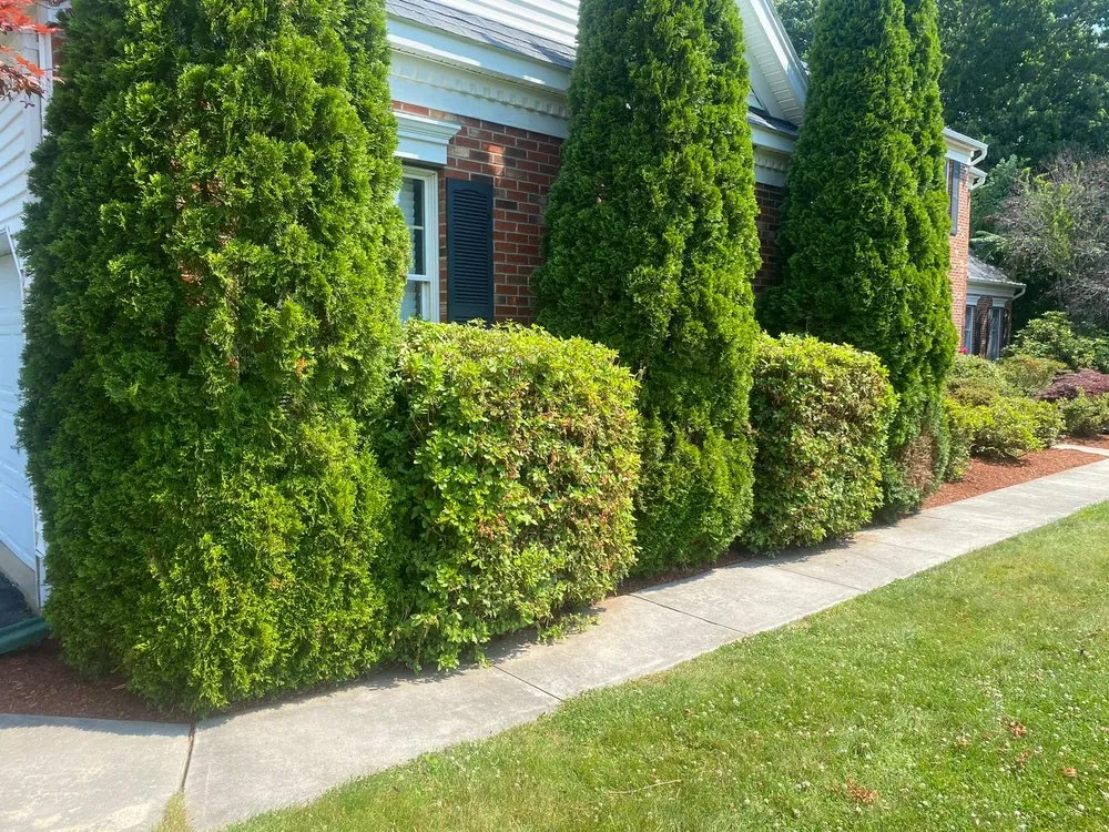 Reliable landscaping services in Framingham, MA by Martins K Landscape