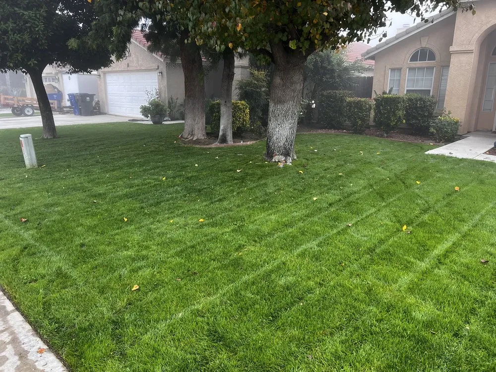 Professional landscaping services in Bakersfield, CA - Martins Landscape Maintenance