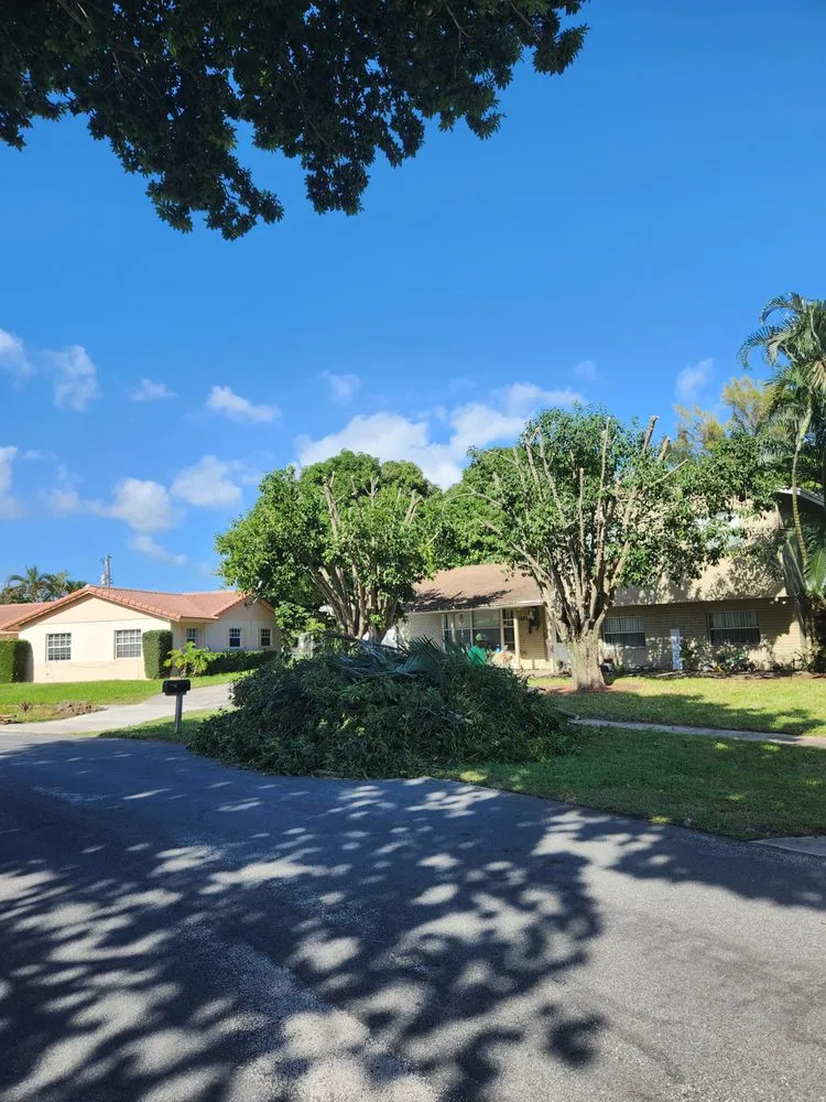 Custom lawn care service in West Palm Beach, FL - Martins Landscaping & More Tree Trimming