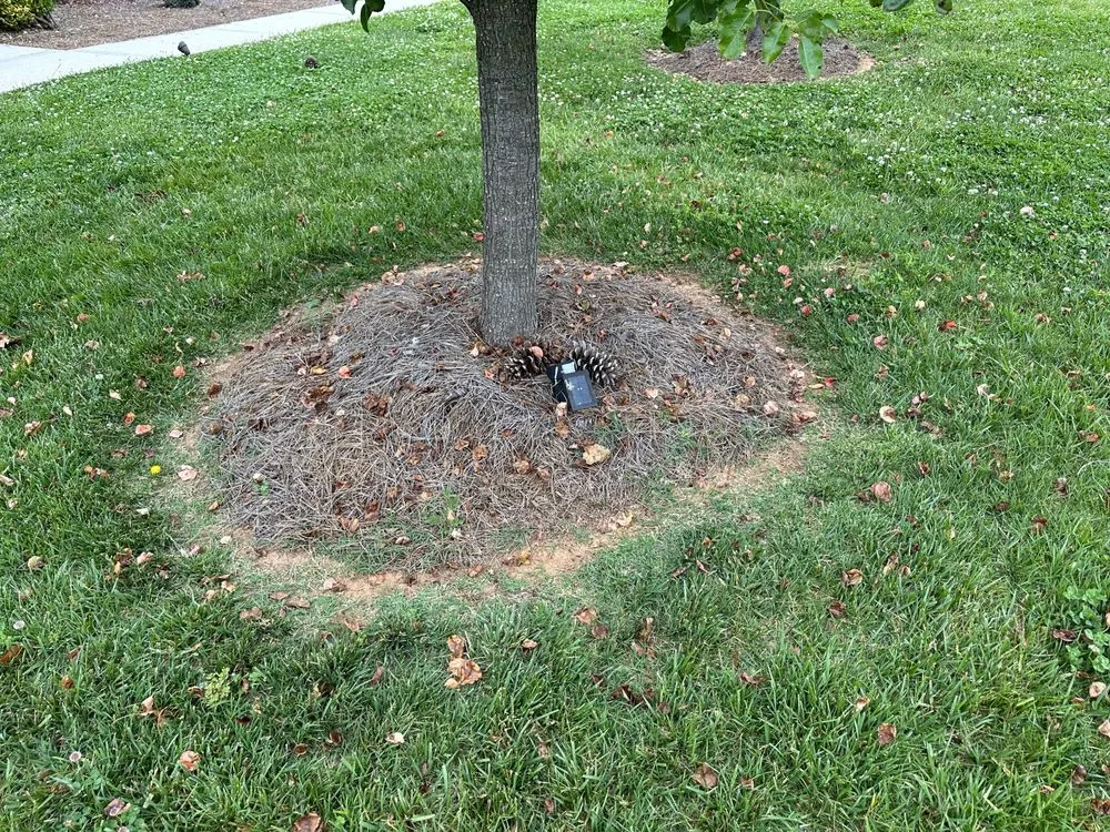 Affordable landscape design in Mount Airy, NC - Martins Landscaping & Outdoor Services