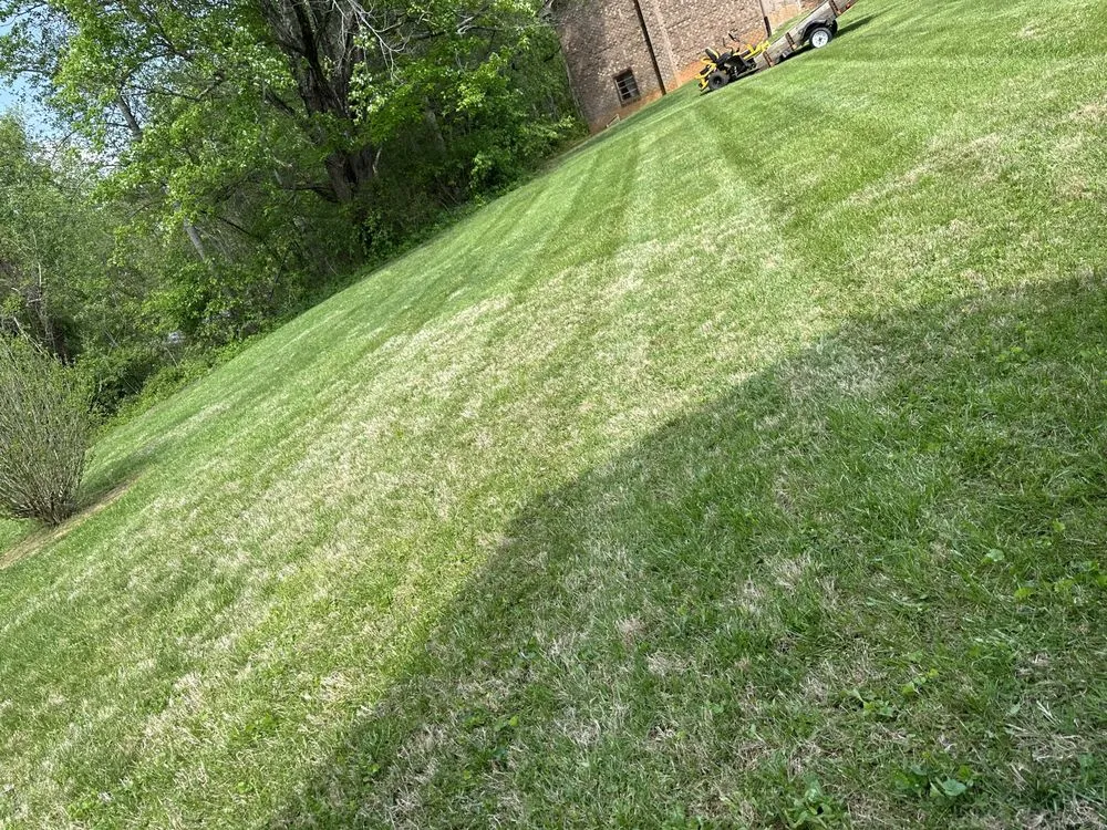 Expert lawn care service for outdoor upgrades across Mount Airy, NC - Martins Landscaping & Outdoor Services