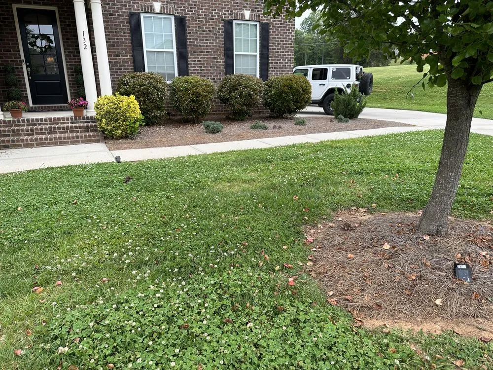 Local landscape design for year-round maintenance across Mount Airy, NC - Martins Landscaping & Outdoor Services