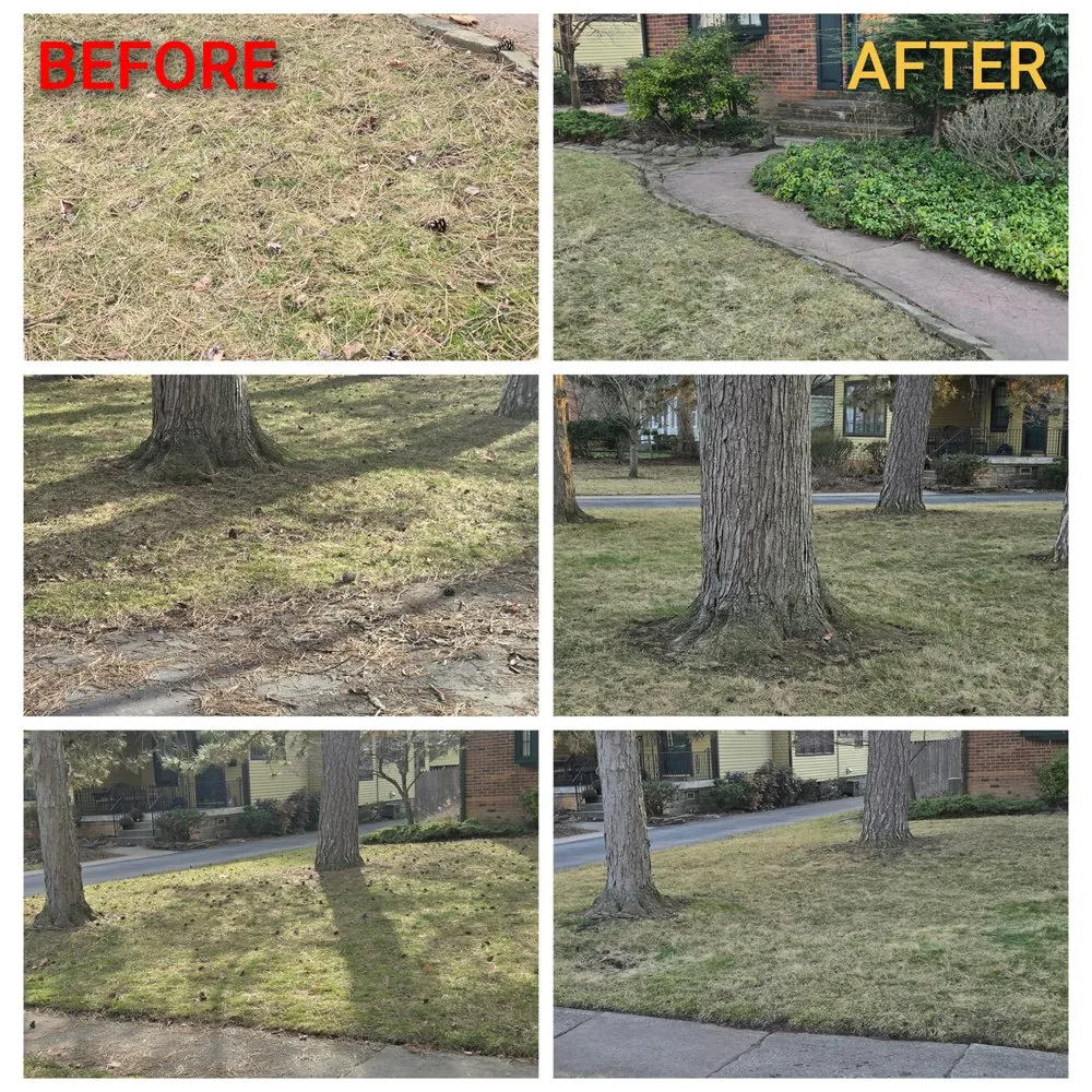 Local landscape installation in Buffalo, NY - Martins Landscaping