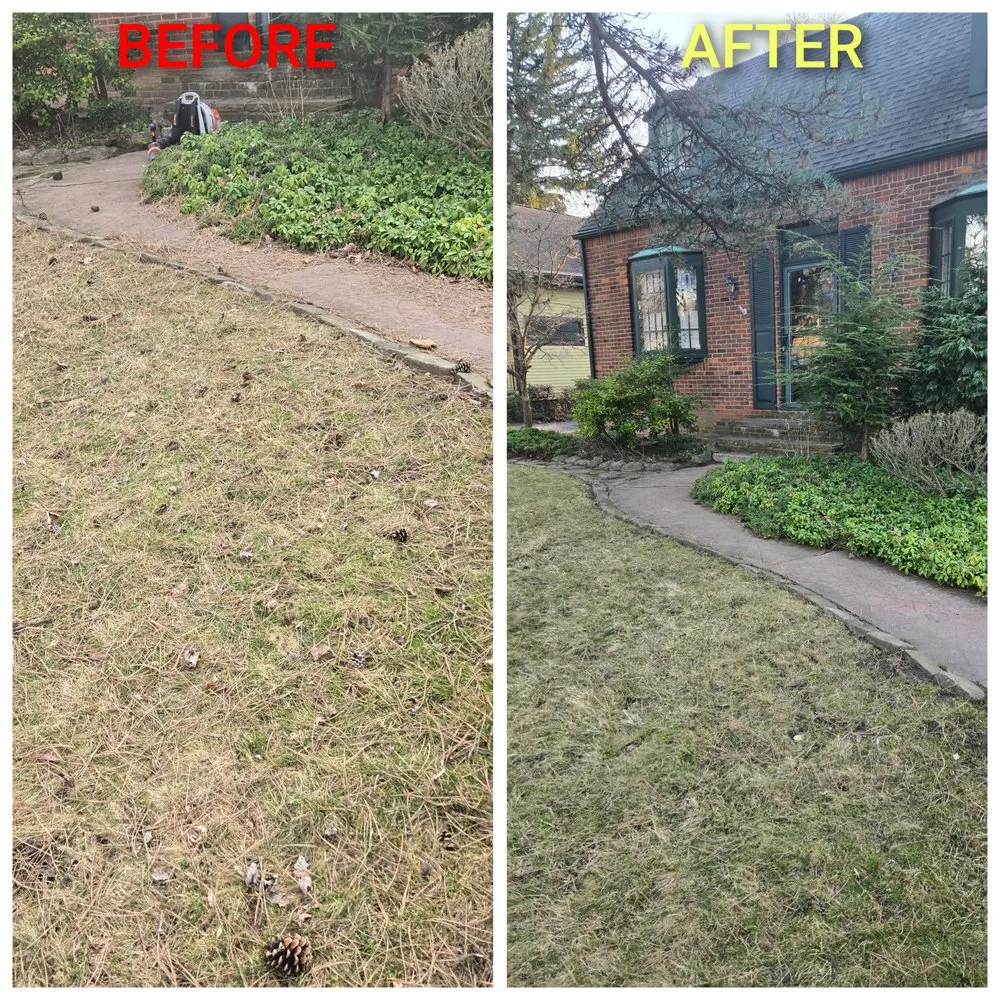 Affordable lawn mowing service experts serving Buffalo, NY - Martins Landscaping