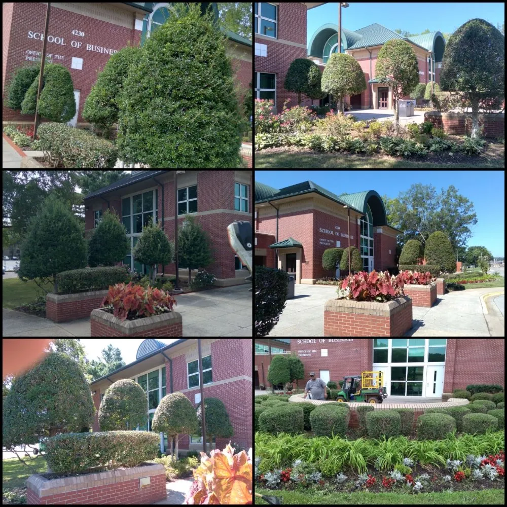 Top-rated landscape installation in Huntsville, AL - Martin's Landscaping