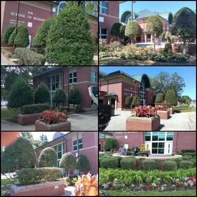 Martin's Landscaping Logo