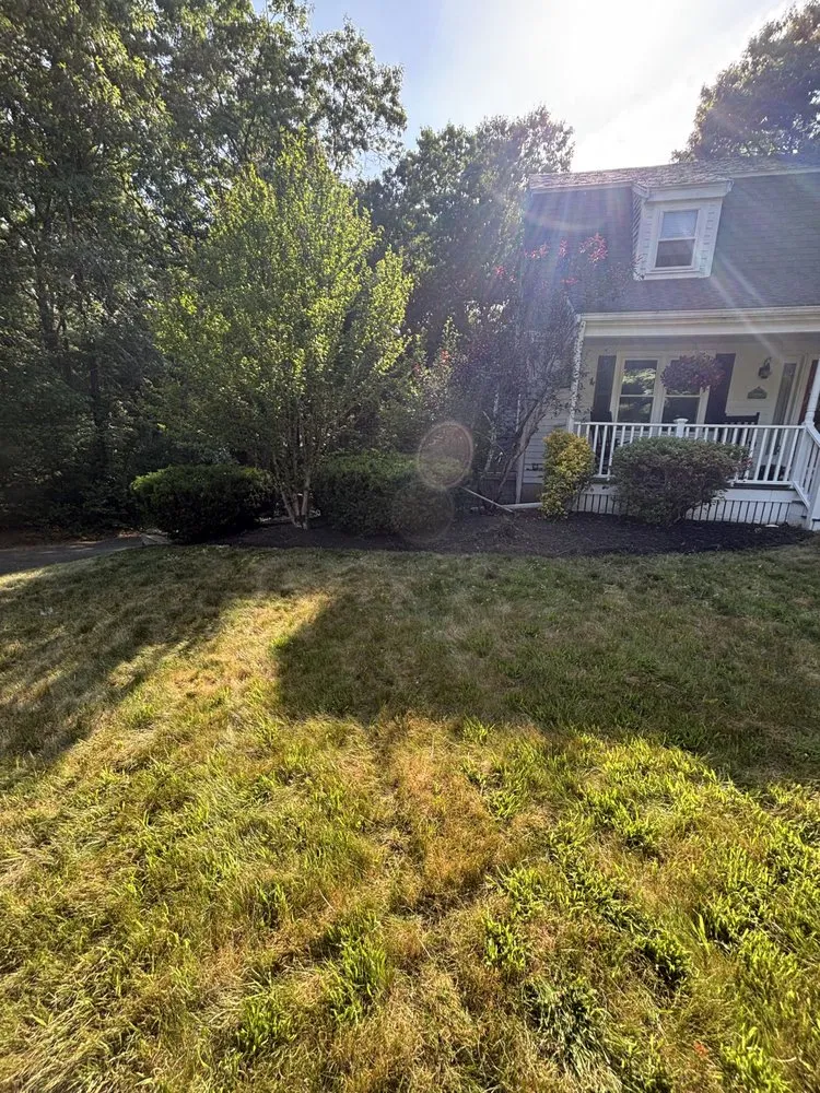 Expert yard maintenance for year-round maintenance across Kingston, MA - Martin's Landscaping