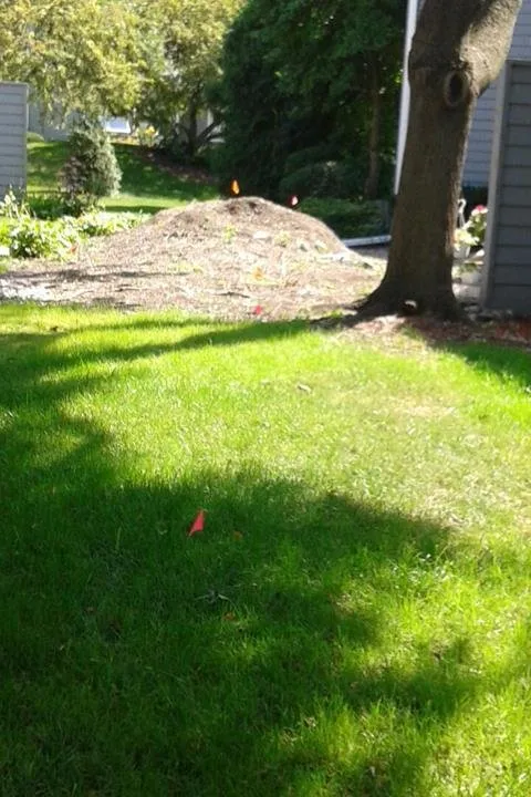 Affordable lawn care service experts serving Milwaukee, WI - Martin's Landscaping