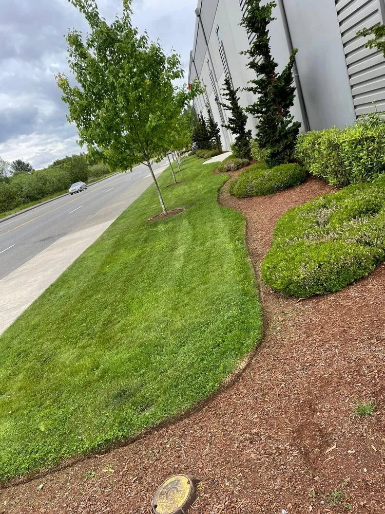 Top-rated yard cleanup service for homes across Seattle, WA - Martin’s Landscaping