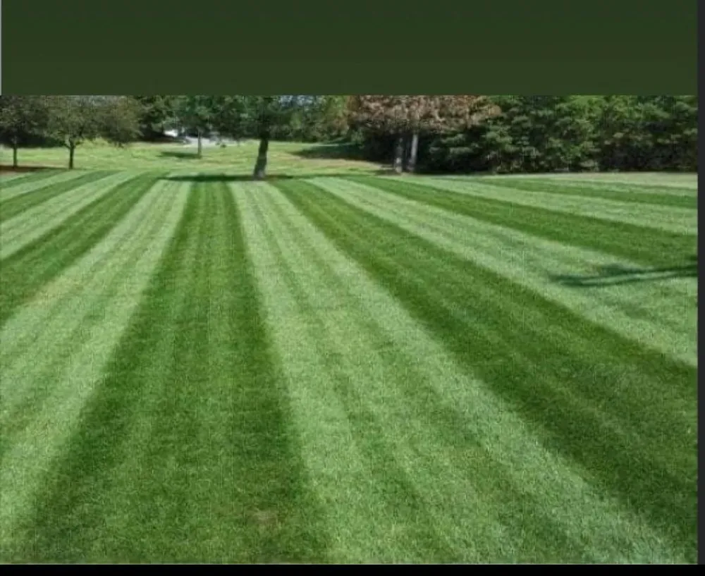 Expert lawn mowing service in Seattle, WA by Martin’s Landscaping