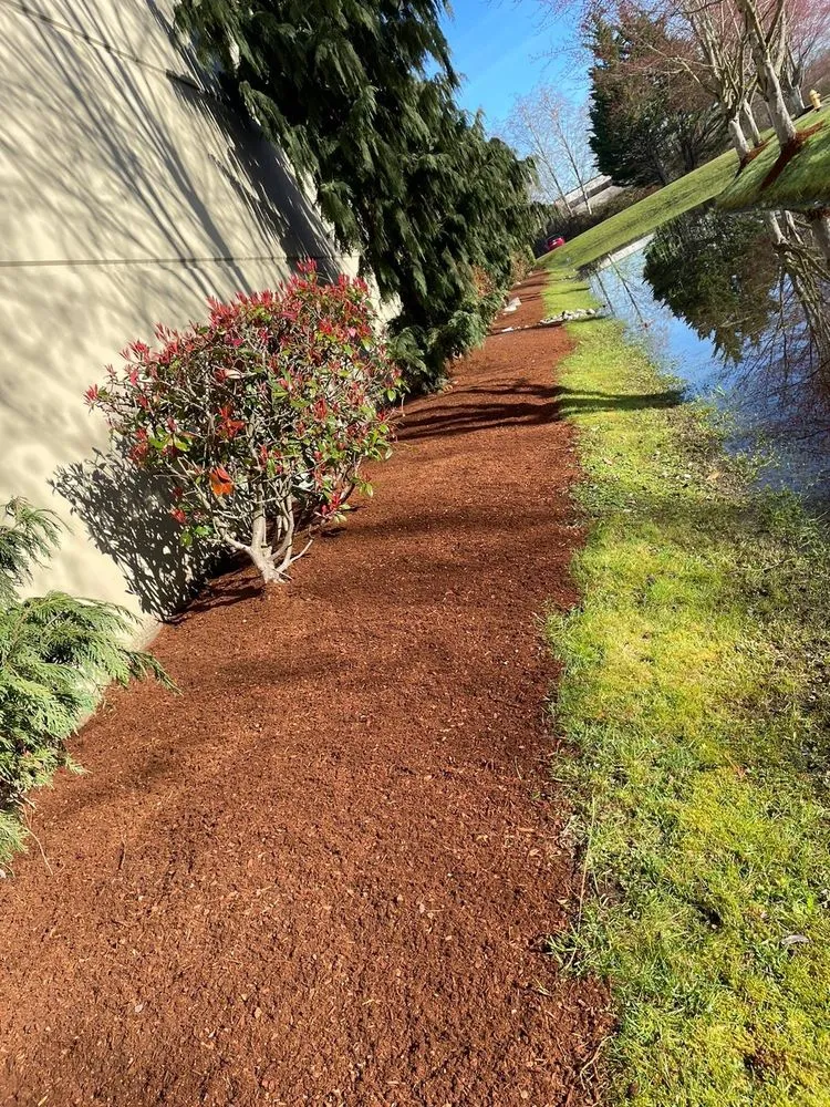 Top-rated yard cleanup service near you across Seattle, WA - Martin’s Landscaping