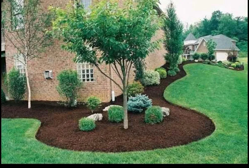 Reliable yard maintenance in Seattle, WA by Martin’s Landscaping