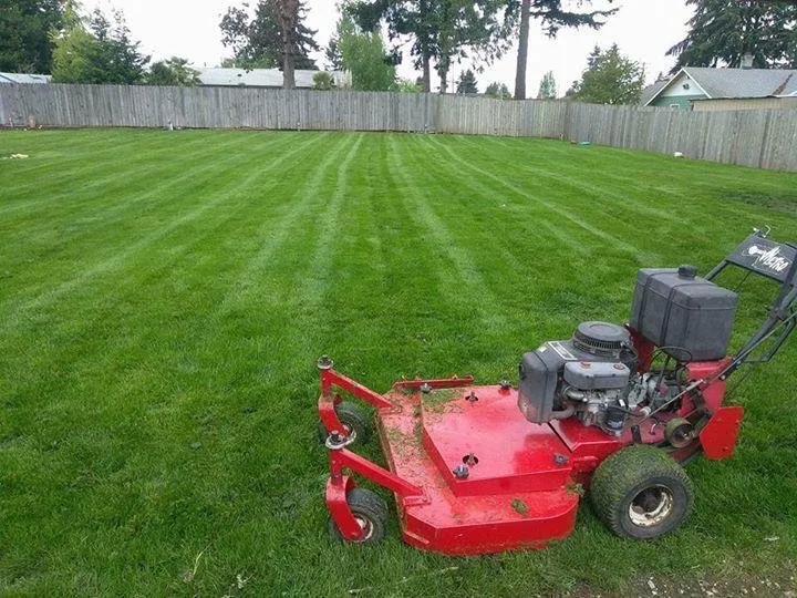 Top-rated lawn care service for year-round maintenance across Seattle, WA - Martin’s Landscaping