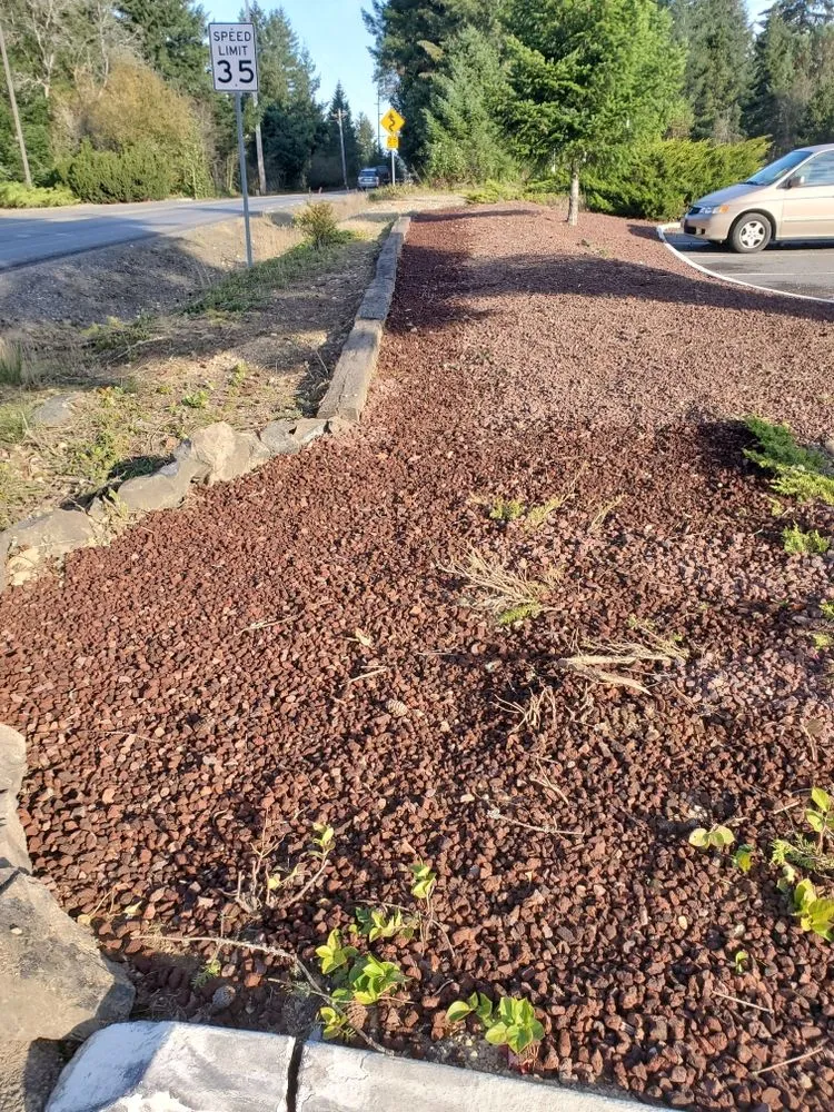 Custom yard maintenance experts serving Shelton, WA - Martin’s Landscaping Services