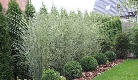 Local landscape design experts serving Wilmington, DE - Martin's Landscaping