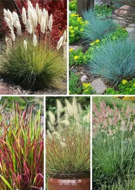 Custom landscape design for year-round maintenance in Wilmington, DE by Martin's Landscaping