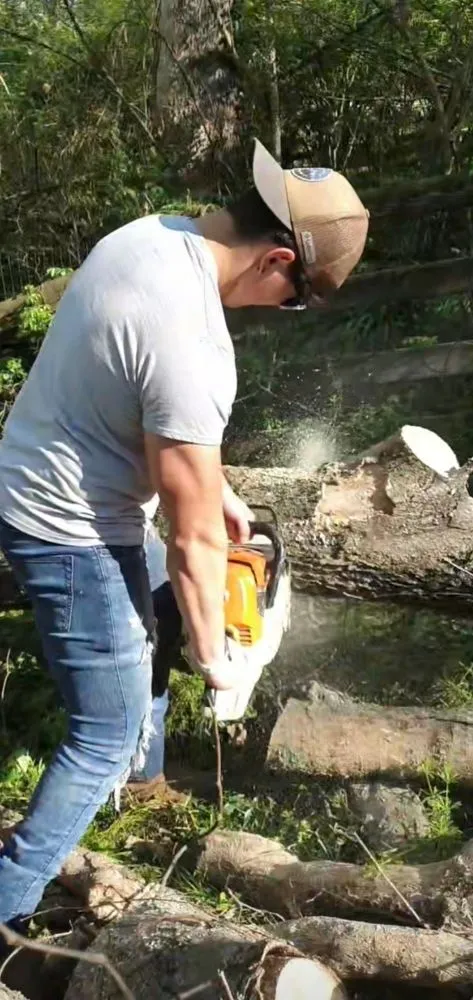 Expert landscape installation near you in Chapmansboro, TN by Martins Lawn Care & Tree Care