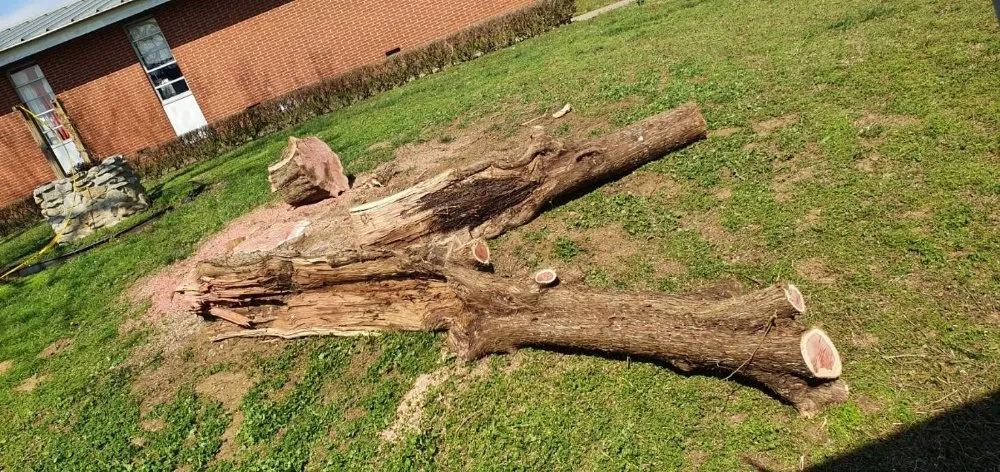 Trusted garden landscaping experts serving Chapmansboro, TN - Martins Lawn Care & Tree Care