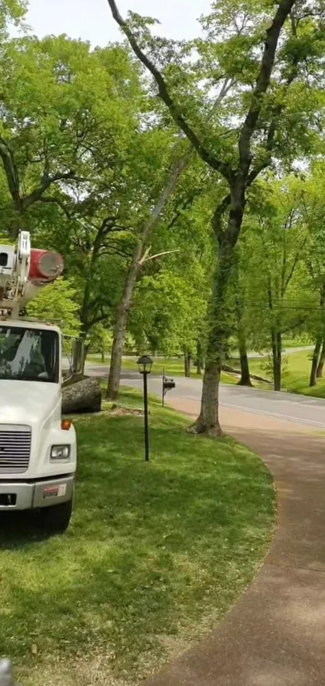 Professional landscape design for year-round maintenance across Chapmansboro, TN - Martins Lawn Care & Tree Care