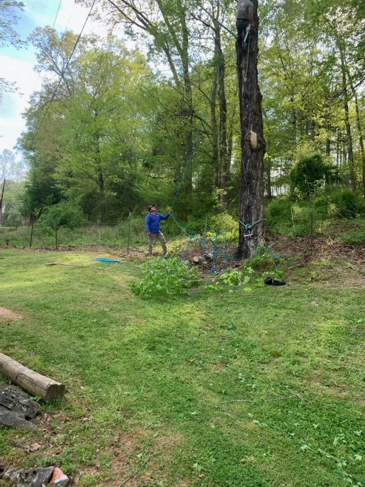 Affordable outdoor landscaping in Chapmansboro, TN - Martins Lawn Care & Tree Care