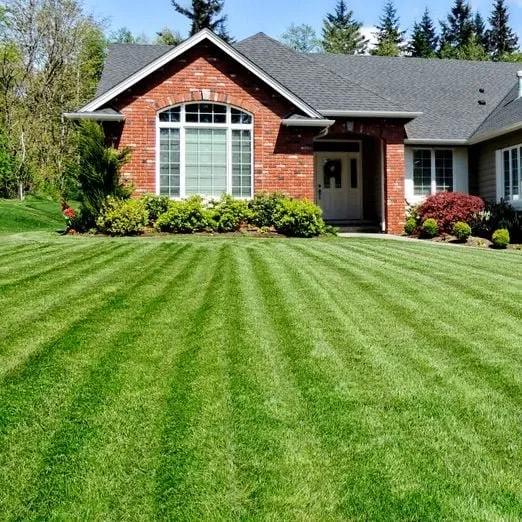 Custom landscape design experts serving Austinville, VA - Martins Lawn care