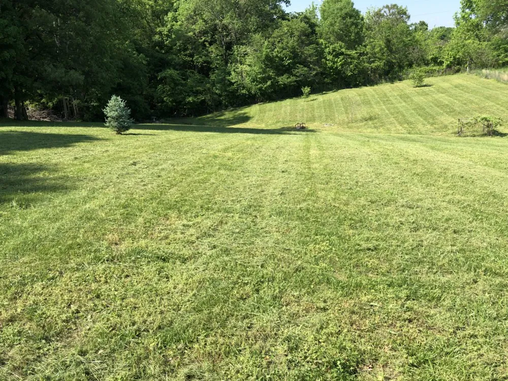 Trusted landscaping services experts serving Bowling Green, KY - Martin's Lawn Care
